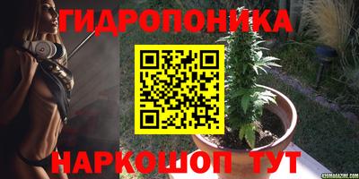 jwh Севастополь