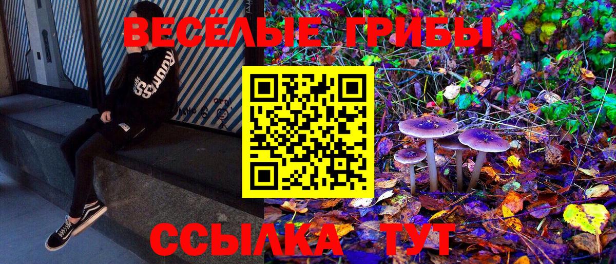 Псилоцибиновые грибы Magic Shrooms Сарапул