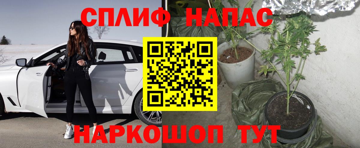 Каннабис MAZAR  Марихуана сатива  Сарапул  Каннабис MAZAR  Вход с VPN 